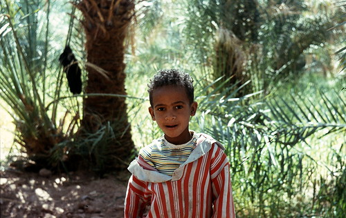 Boy in oasis, Adrar, Algeria