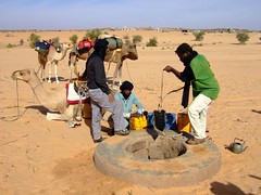 Mauritanian Desert Well
