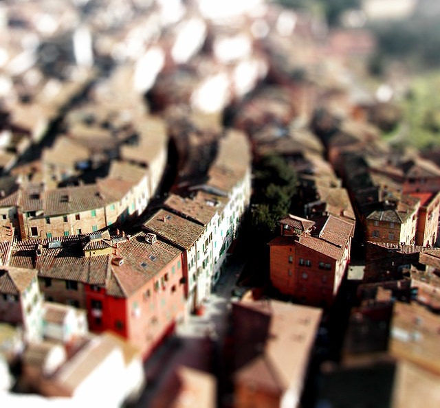 roofs from above