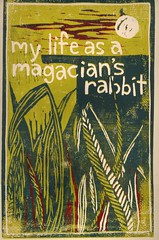 magician rabbit cover