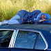 Blue Rest of a Blue Photographer on a Blue Pillow All on a Blue Skylark