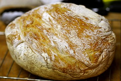 La giornata mondiale del pane.. e gli InGASati? 1