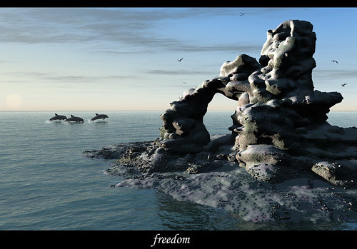 Rocky_Freedom