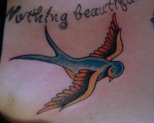 bird tattoo. swallow tattoo