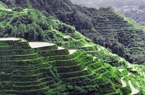 Banawe Rice Terraces is