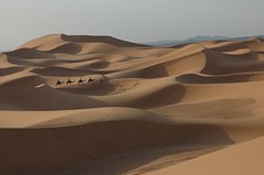 Desert Journey - The Erg Chebbi Dunes, Morocco - by Robbie