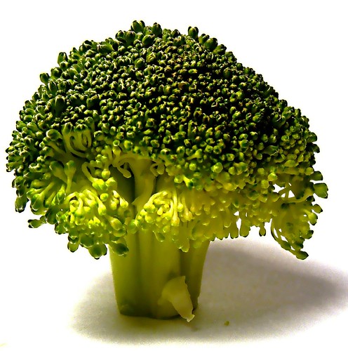 Broccolli doesn't grow on trees, you know