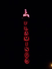 20070118 Flamingo Hotel