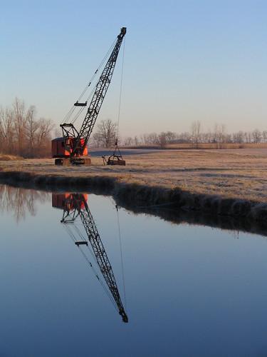 Crane in the Pond 01
