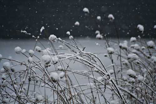 Snowflakes Large is pretty much a must if I do say so myself. LOL <a href="http://bighugelabs.com/flickr/onblack.php?id=316651818&amp;size=Large">