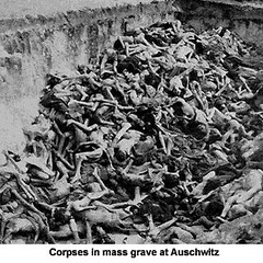 Corpi Ammassati Auschwitz