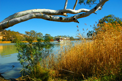 Murray river on the Murray Princess