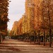 Autumn Path by romaniashots