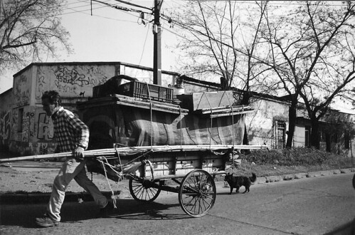 Cart and Driver and Street Dog, on a Quiet Day
