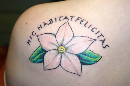 jasmine flower tattoo Tattoos Gallery