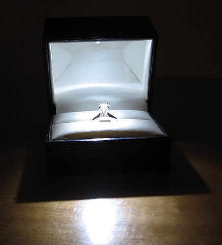 Engagement Ring [Photo 1]