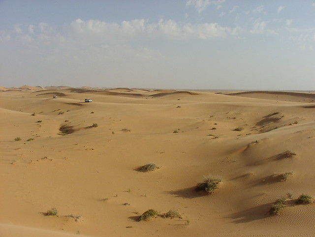 Desert Driver Training near Riyadh