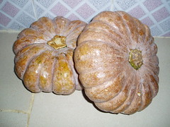 Pumpkin Treats 3 December 2006