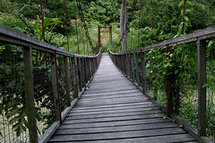 wooden bridge by Juin Hoo