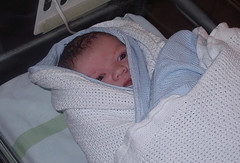 SWP at 10 minutes old (flickr)