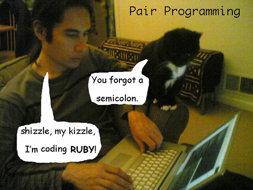 Pair Programming for Ailurophiles