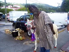 Donkey Man in St. Thomas