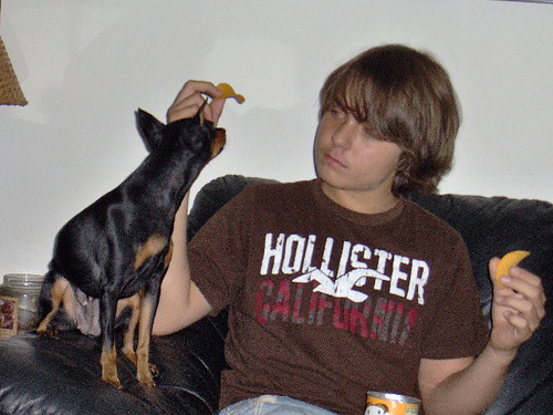 the kid and the dog