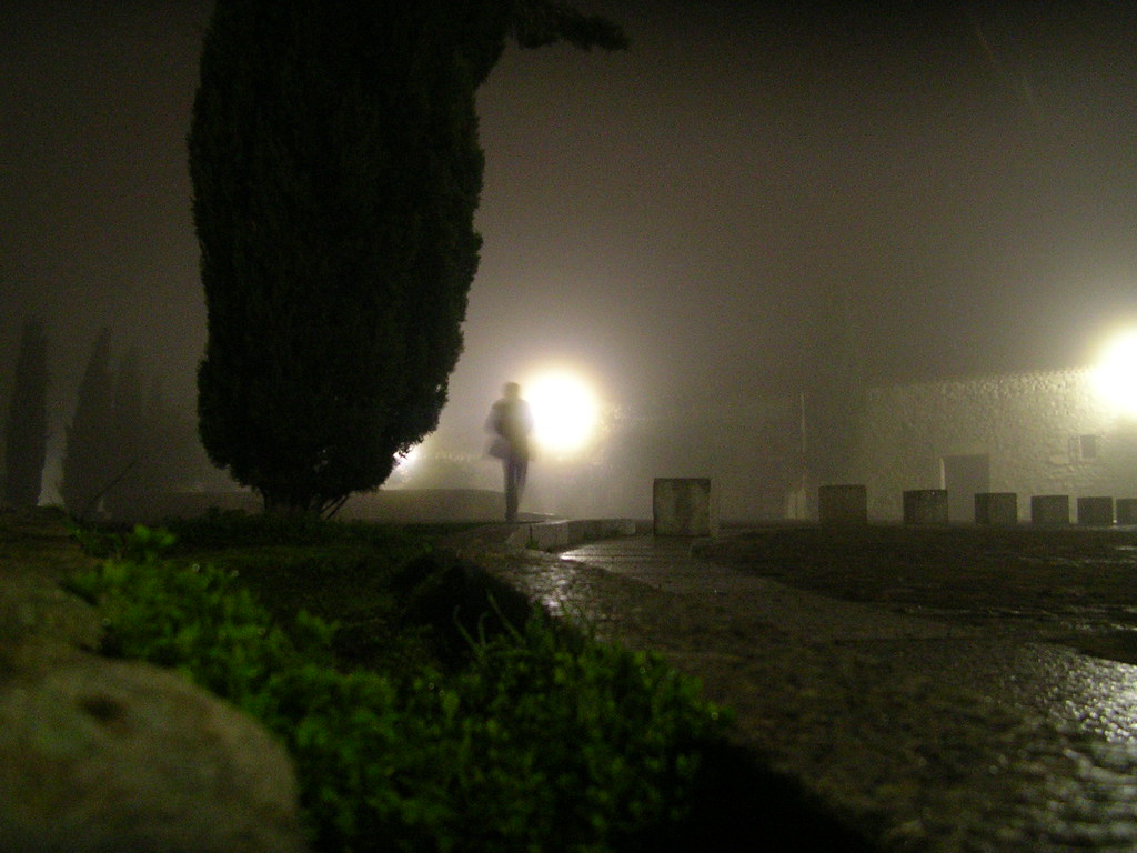 nieblas noche 012