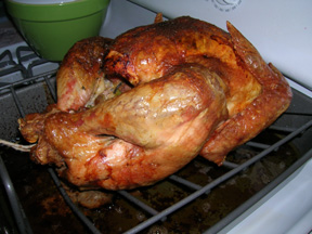 First Thanksgiving Turkey - 2006