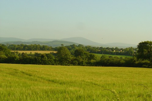 irish fields