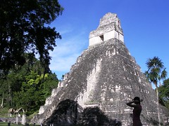 Tikal Maya ruins Guatemala Jaguar's Temple I pyramids jungle monkeys wild animals Central America