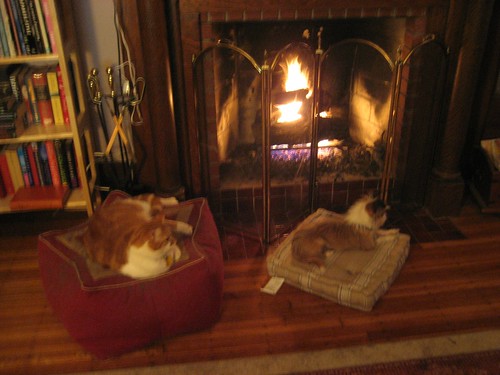 Lounging by the fireplace