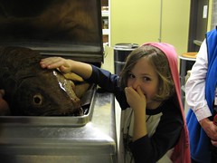 Iz and the Coelacanth
