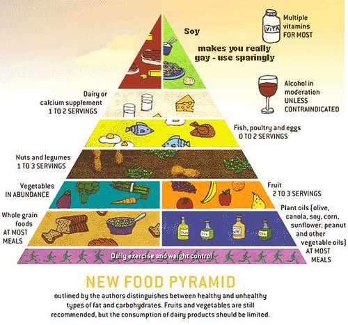 food pyramid worksheets for kids. hot food pyramid worksheet.