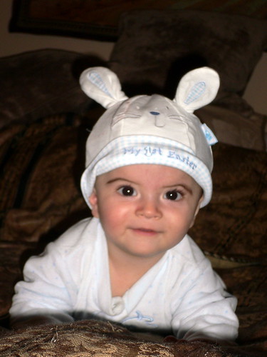 funny easter bunny pics. Baby#39;s funny easter bunny hat