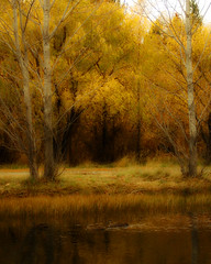 Last Autumn - by EssjayNZ