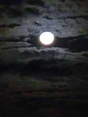 好浪漫的月亮呀