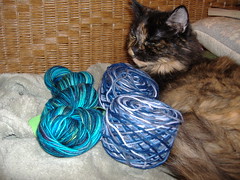 Desdemona And The Sock Yarn.