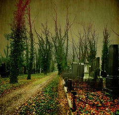 The old jewish cemetery - by Mabar