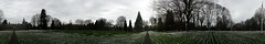 360 Panorama: Reed College War Memorial and Protest