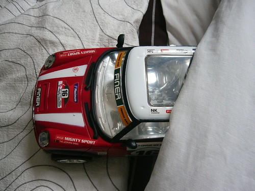 Car in bed