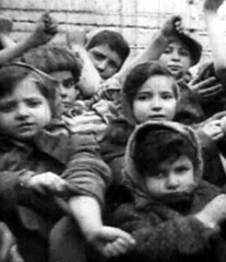 Surviving Auschwitz - Children