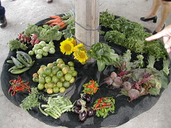 Community grown vegetables_Cuba 218