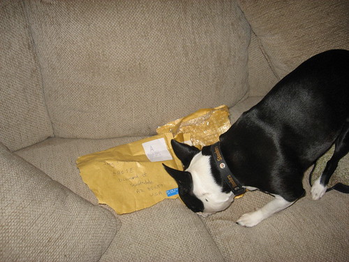 what is in here??