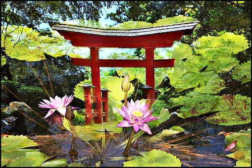 Birmingham Botanical Garden and Japanese Gate and Lilys