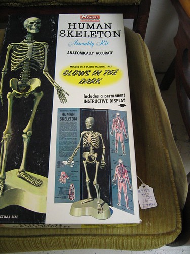 Anatomically correct! Glows in the dark! Who knew human bones glowed in the dark?