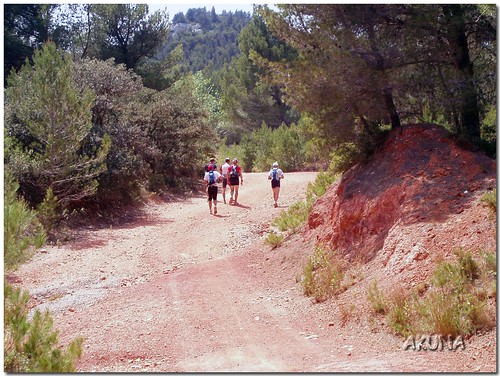 Trail off des Alpilles 2006 (210)reworked