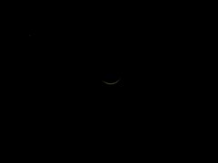 A new moon and Venus