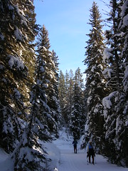 Cache Creek Trail