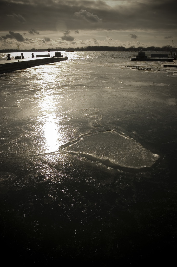 Harbour Ice